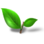 Greenleaf Logo
